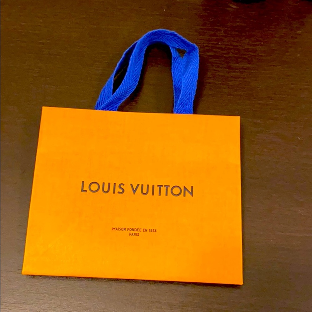 LV mini bag